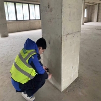 上海xxx有限公司智能化生產(chǎn)線建設(shè)項(xiàng)目房屋安全性檢測