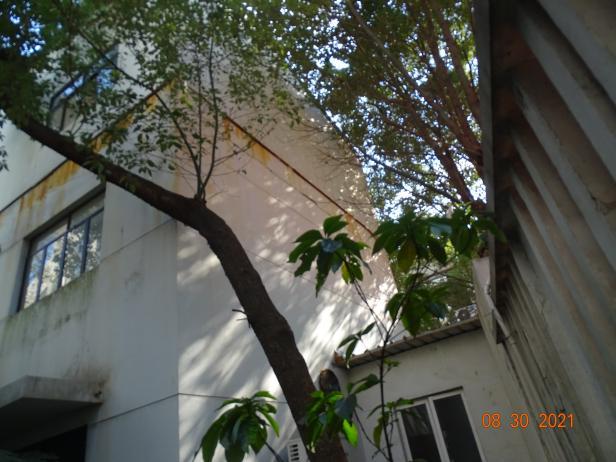 長寧區延安西路593號2號樓、3號樓安全性檢測-終版 長寧區延安西路593號2號樓、3號樓安全性檢測-終版