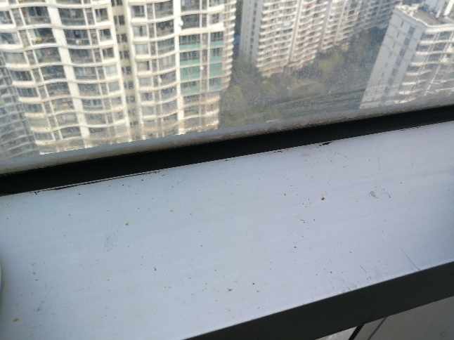 幕墻安全檢測 幕墻安全檢測